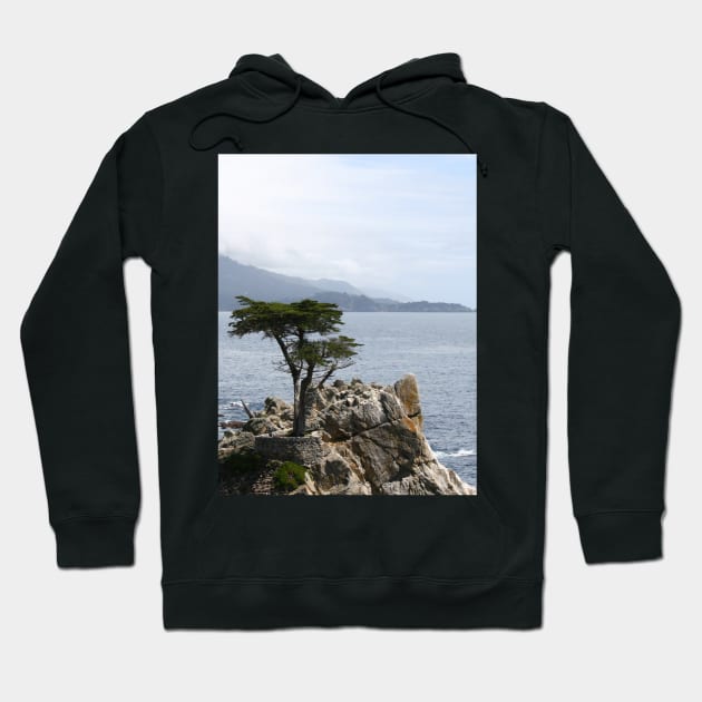 Majestic Lone Pine: Iconic Beauty of California Hoodie by Christine aka stine1